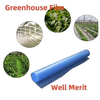 6Mil (150Micron）Greenhouse Plastic Sheeting  PE Film Replacement Covering