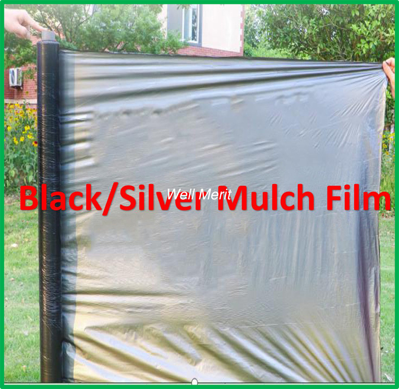 1-4M Width Black/ Silver Color Agricultural Plastic Mulch Film