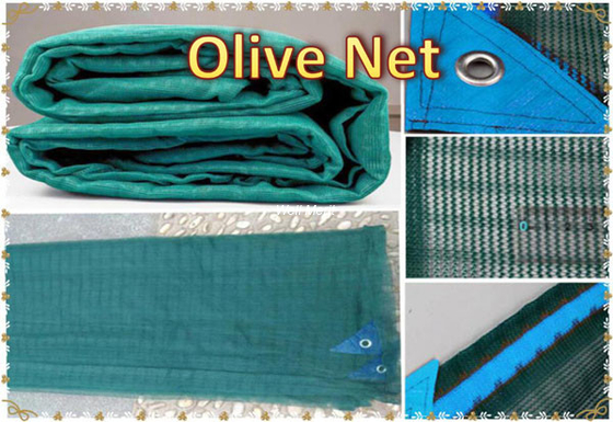 Cosecha agrícola que pesca a Olive Netting Olive Harvest Netting